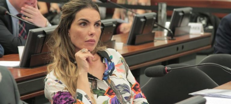 Paula Belmonte Cobra De Ex-Presidente Do BNDES Respeito À CPI