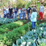capacitação_org-1-e1565809323126