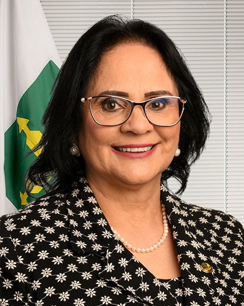 Senadora Damares Alves quer ampliar licença de mães de prematuros por mais 60 dias