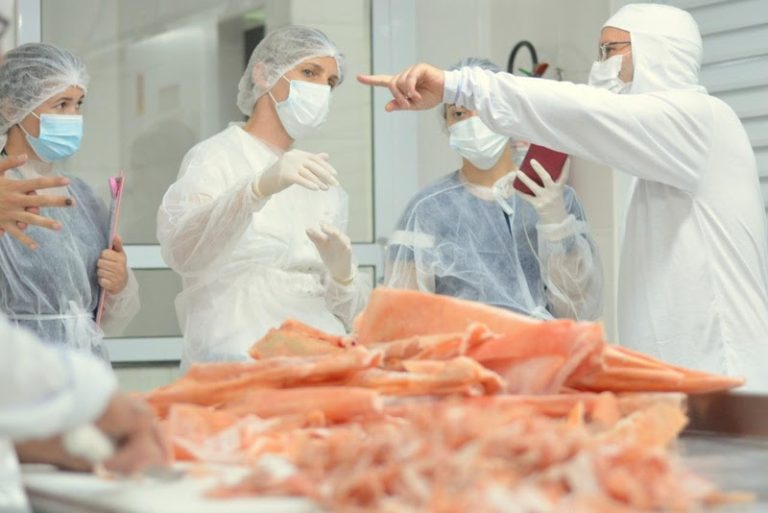 Participação feminina avança na fiscalização agropecuária, mas ainda há desafios