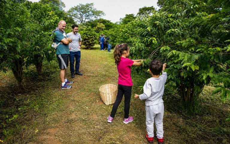 18ª edição do Sabor da Colheita celebra início da safra de café em São Paulo